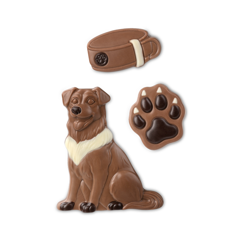 ilemann Geschenkpackung Hund - Figuren Hund, Pfote, Halsband