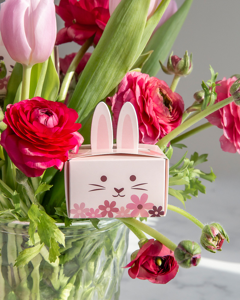 Viba Lola Langohr als Geschenk im Blumenstrauß